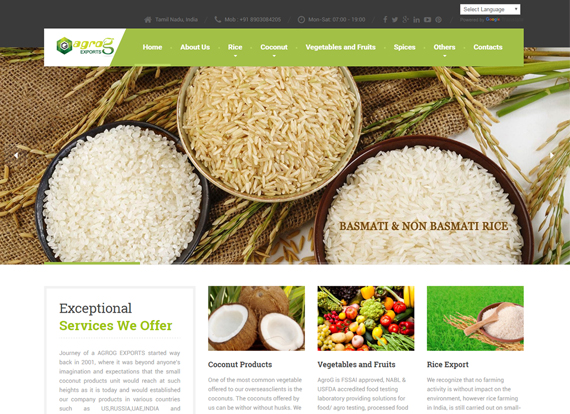 website designing in nagercoil | website designing in tirunelveli | website designing in madurai | web designing in nagercoil | web designing in tirunelveli | web designing in madurai | ecommerce company in coimbatore | ecommerce company in chennai | seo company in tirunelveli | seo company in madurai | seo company in coimbatore | seo company in chennai | web designing company in nagercoil | web designing company in tirunelveli | web designing company in madurai | web designing company in coimbatore | web designing company in chennai | website designing in coimbatore | website designing in chennai | web designing in coimbatore | web designing in chennai The Last of us